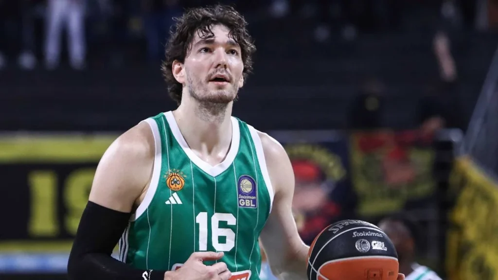 cedi osman