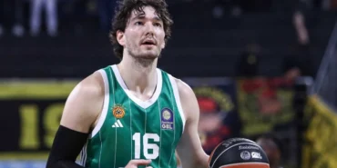 cedi osman