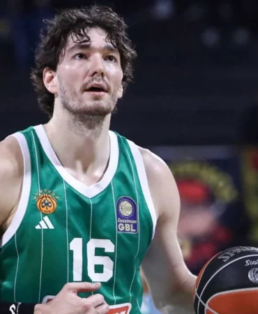 cedi osman