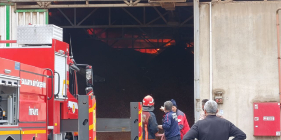 Fındık Fabrikasında Yangında, Alevler Tesisin Tamamını Sardı