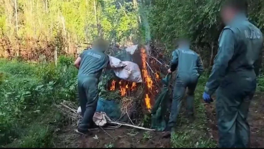 hevsel bahçeleri uyuşturucu