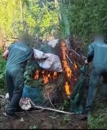 hevsel bahçeleri uyuşturucu