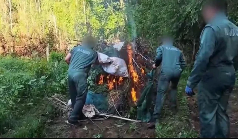 hevsel bahçeleri uyuşturucu