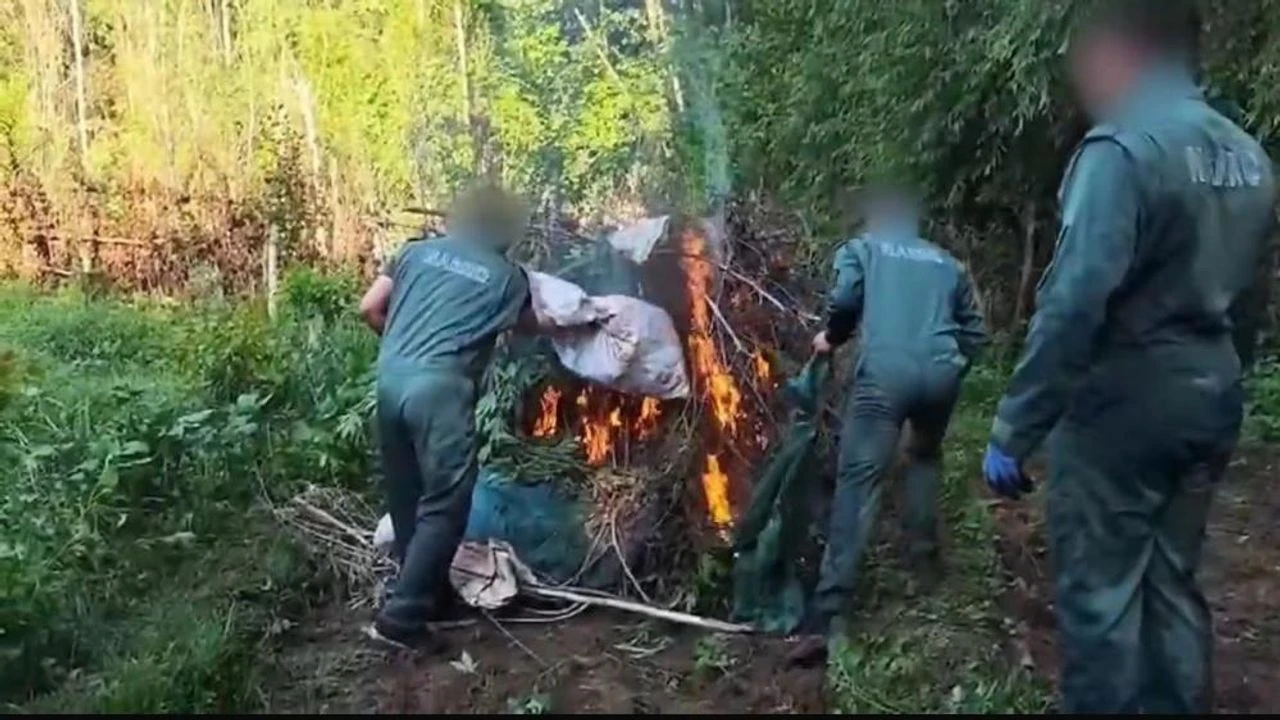 hevsel bahçeleri uyuşturucu