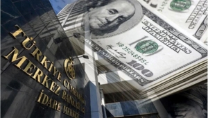 merkez bankası döviz