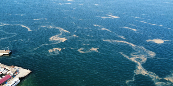 Kınalıada Açıklarında Müsilaj Kabusu Geri Döndü!