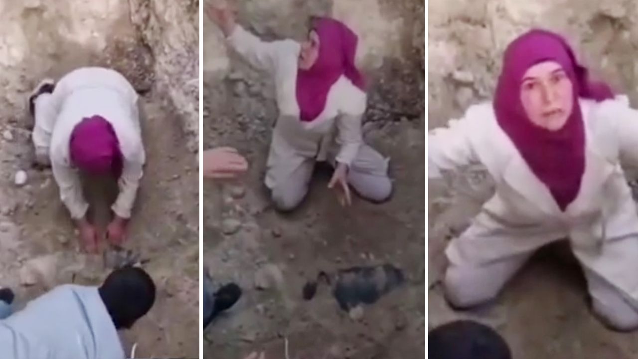 ölü köpekleri mezardan çıkarıyor