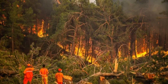 Bakan İbrahim Yumaklı Uyardı: “Orman Yangınları için Riskli Bir Dönem Bizi Bekliyor”