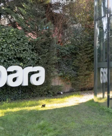 papara kayyum, merkez bankası