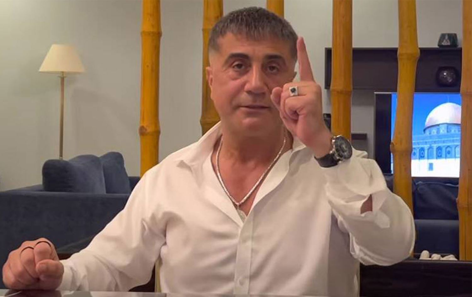 sedat peker soylu