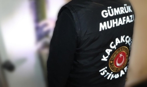 Gümrük Muhafaza