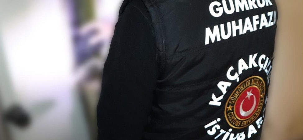 Gümrük Muhafaza