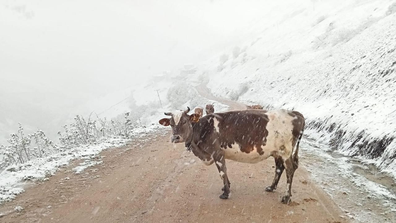 Rize kar 5metre