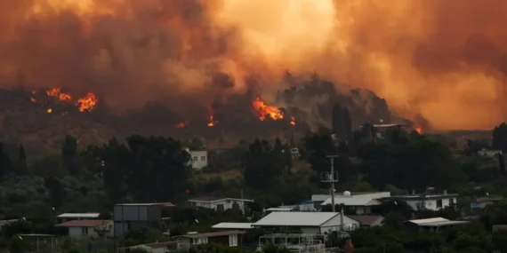 Seferihisar’daki Orman Yangını Felakete Dönüştü