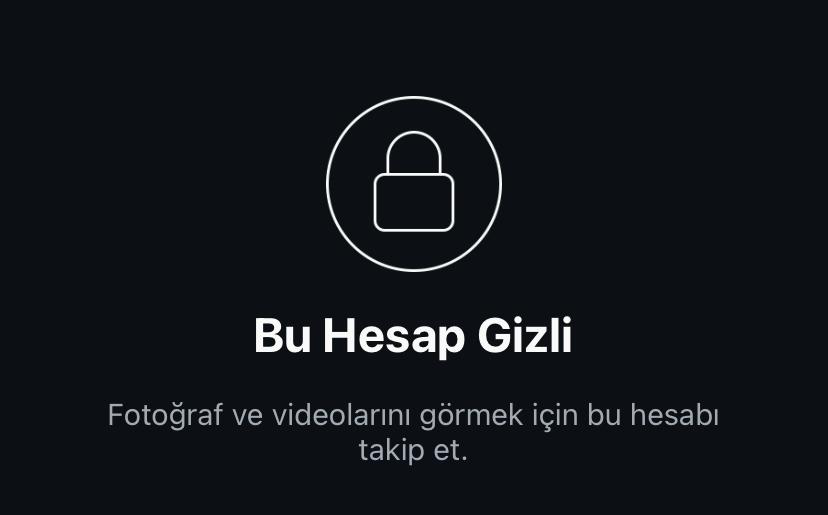 abd, vize