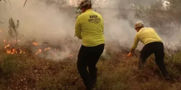 bilecik yangın devam ediyor