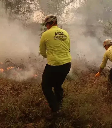 bilecik yangın devam ediyor