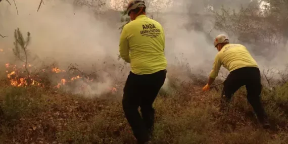 Sakarya’daki Yangın Bilecik’e Kadar Sıçradı!