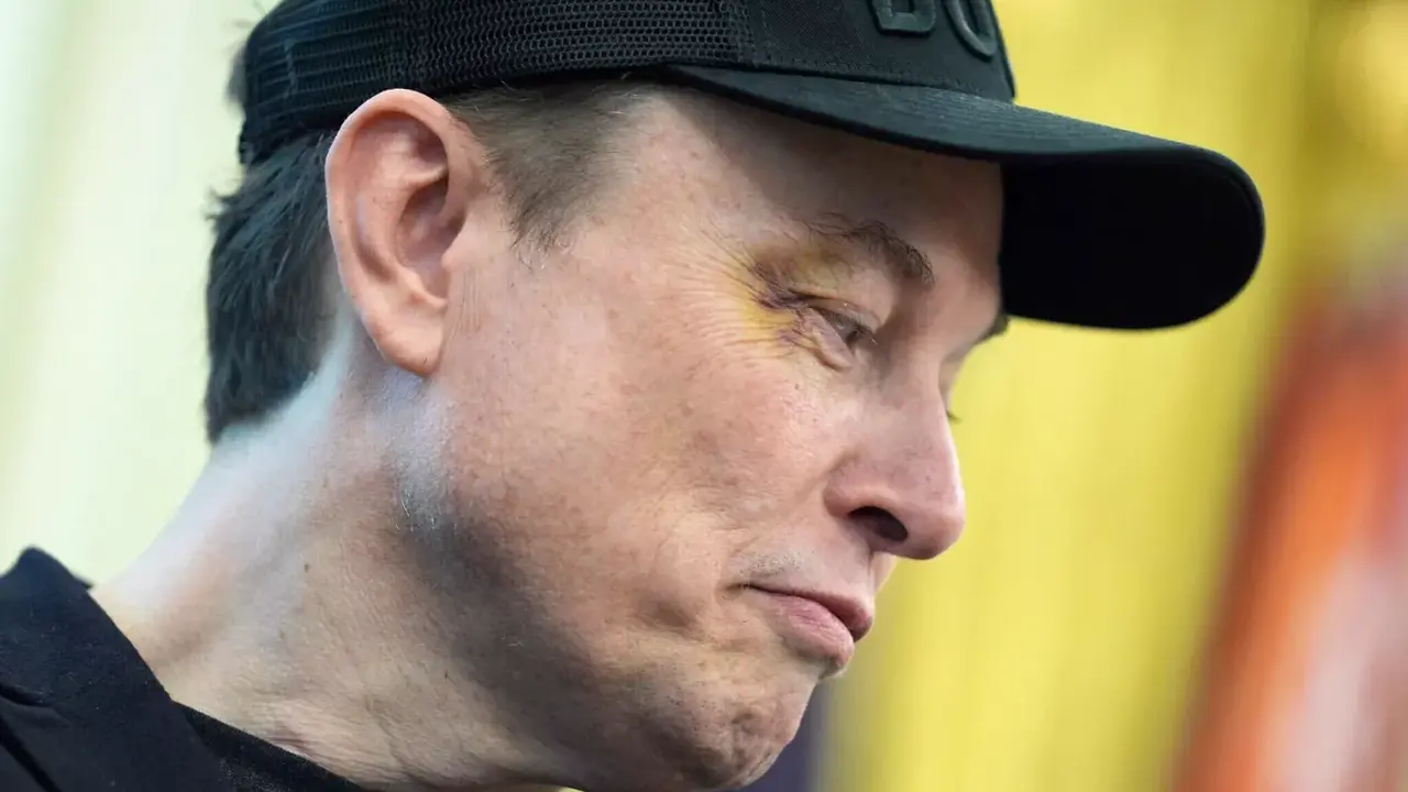 elon musk