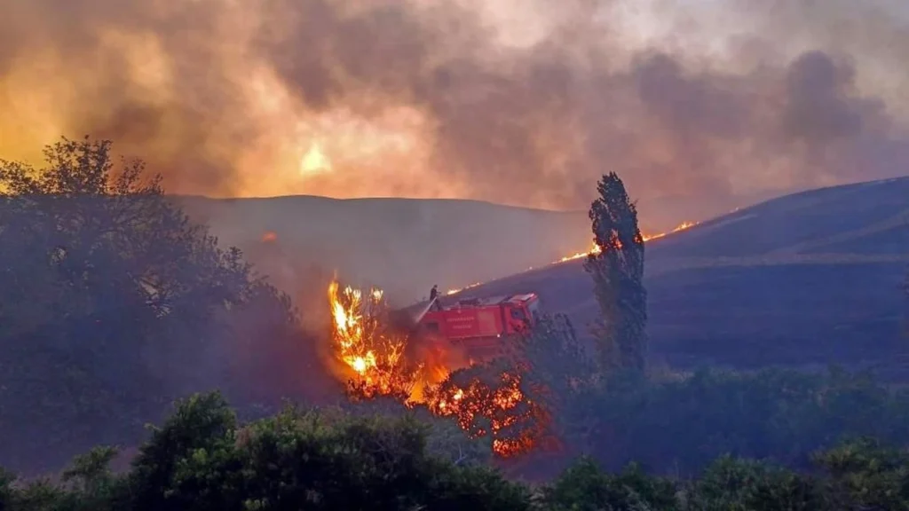 orman yangını