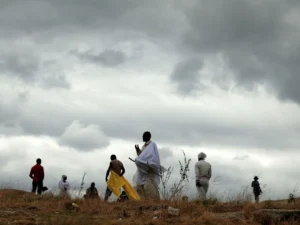 zimbabve sıtma