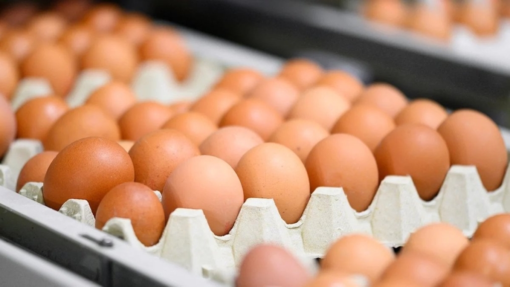 Afyonkarahisar kayyum