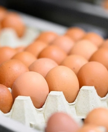 Afyonkarahisar kayyum