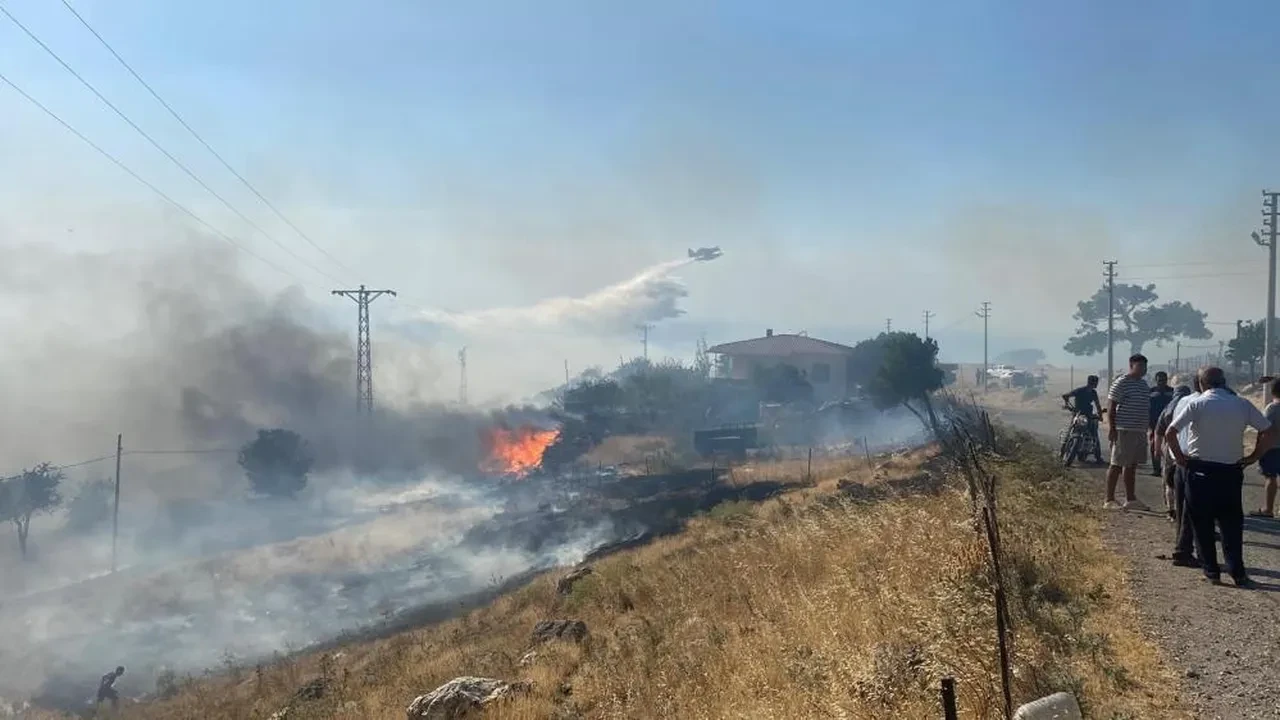 Ayvacık yangın