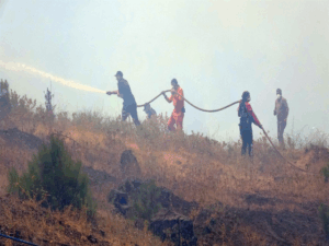 Bursa yangın