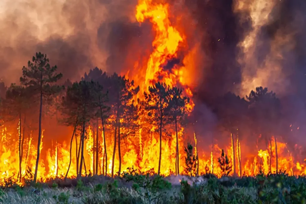 İtalya orman yangını