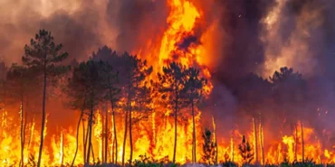 İtalya orman yangını