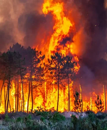 İtalya orman yangını