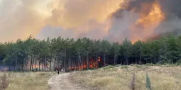 Orman Yangını antalya