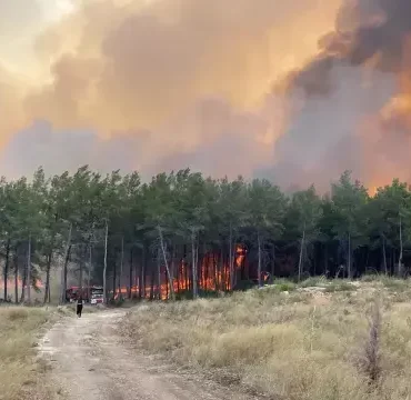 Orman Yangını antalya