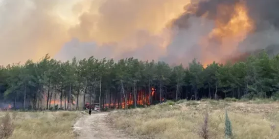 Antalya’nın Üç İlçesinde Orman Yangını Başladı
