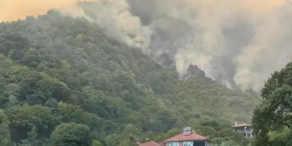 Sakarya Geyve’de Orman Yangını Söndürülemiyor!