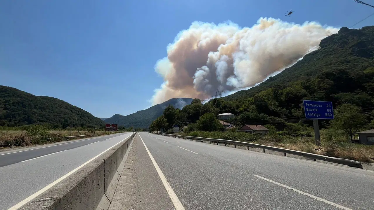 Sakarya Geyve yangın