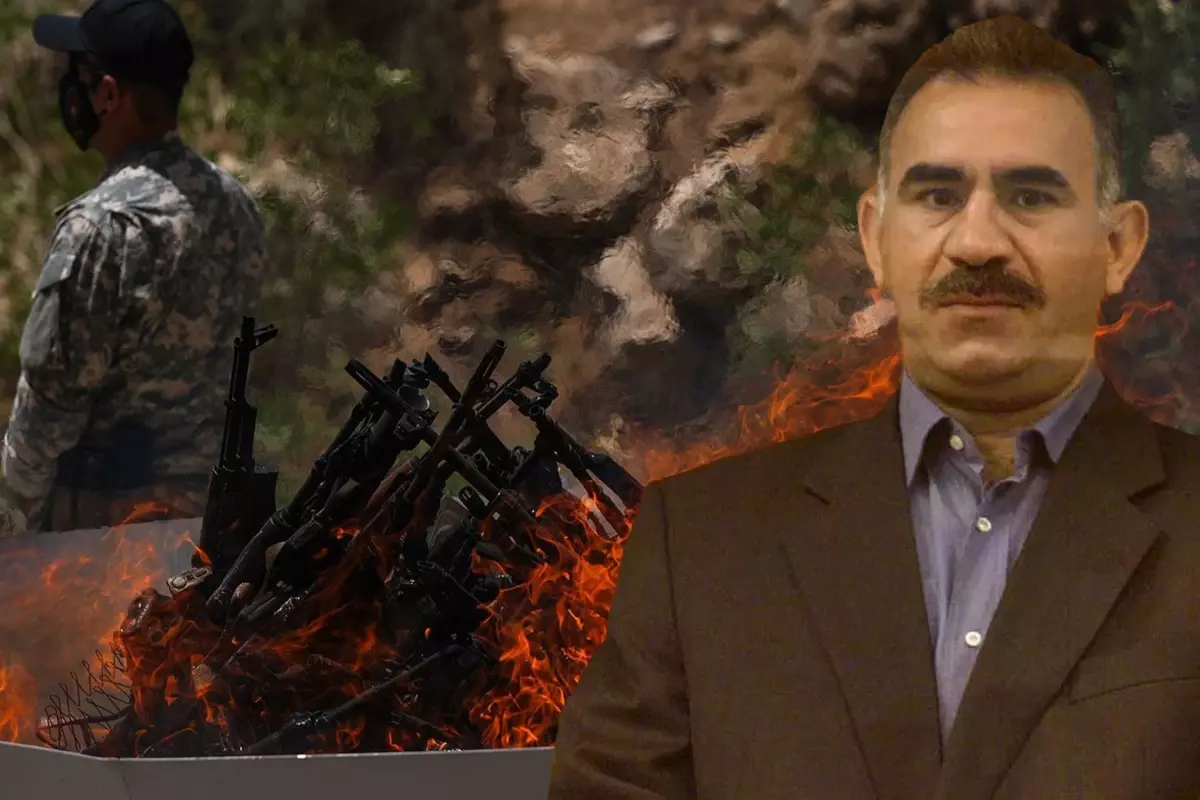 Tülay Hatimoğulları