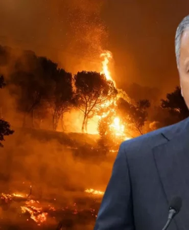 Yerlikaya orman yangını