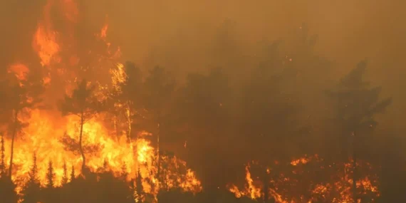 Bakan Yumaklı: “Yangınlar Kısmen Kontrol Altına Alındı”