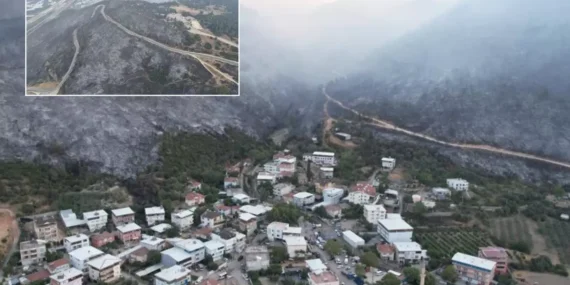 Bursa’daki Orman Yangınında 100 Hektar Kül Oldu