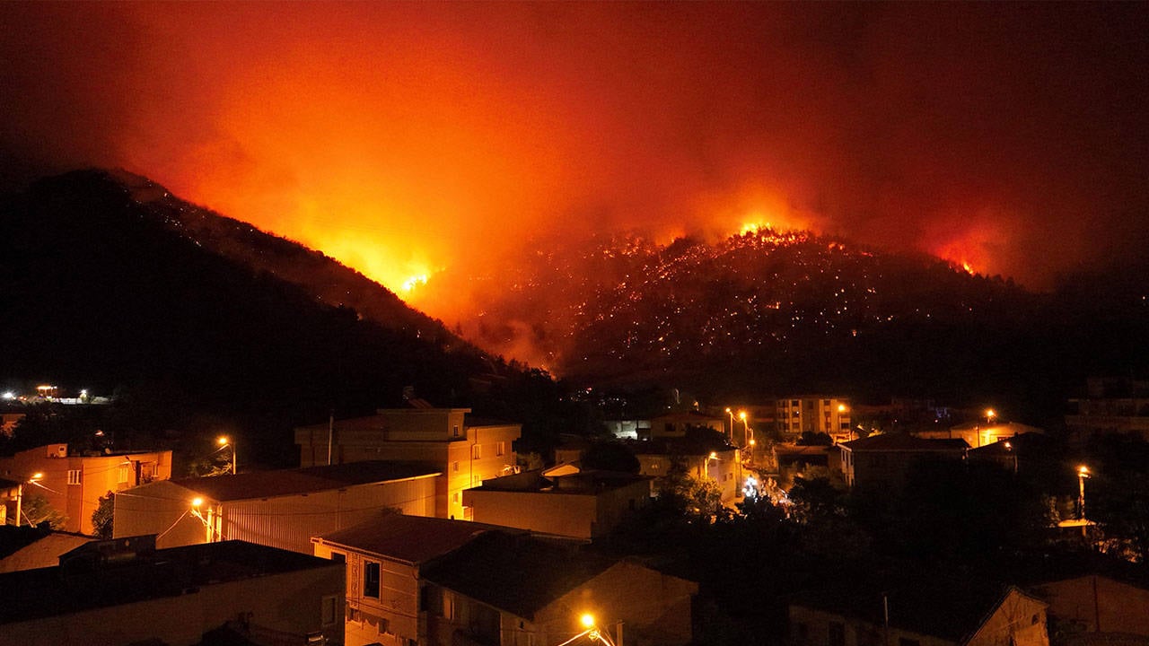 bursa orman yangını