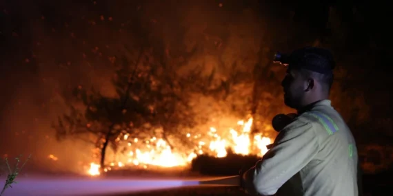 Bursa Valiliği Açıkladı: Yangın Çıkarmaya Çalışan FETÖ Bağlantılı Kişi Yakalandı!