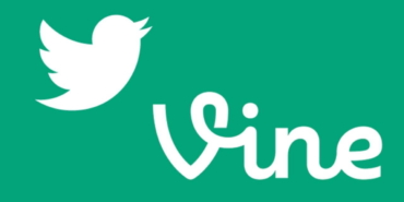 vine