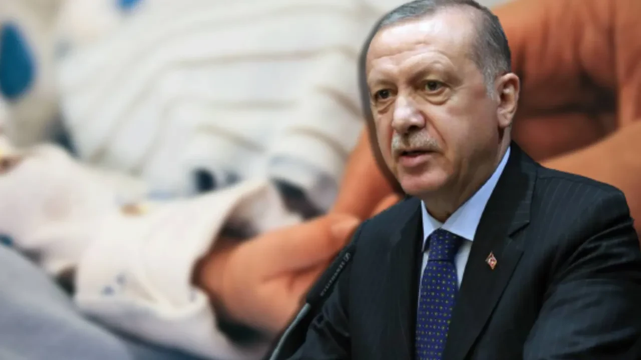 erdoğan memur