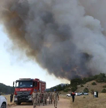 orman yangını