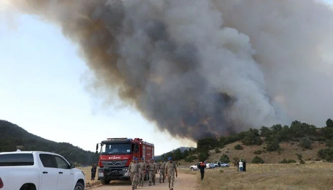 orman yangını