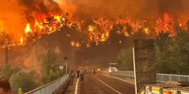 eskişehir orman yangını