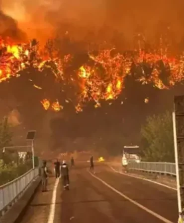 eskişehir orman yangını
