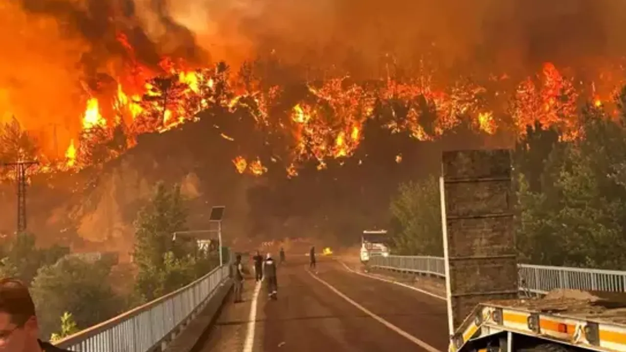 eskişehir orman yangını